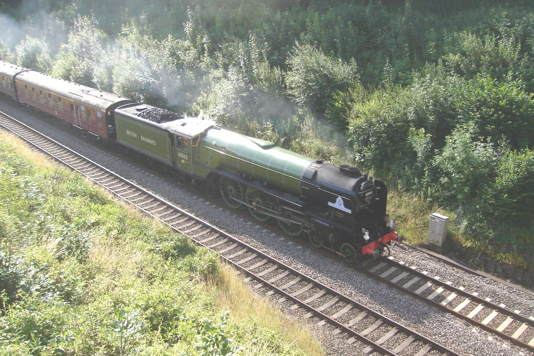 60153-at-Long-Ashton.JPG