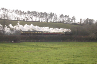 Auto-train-near-Combe-Florey.jpg